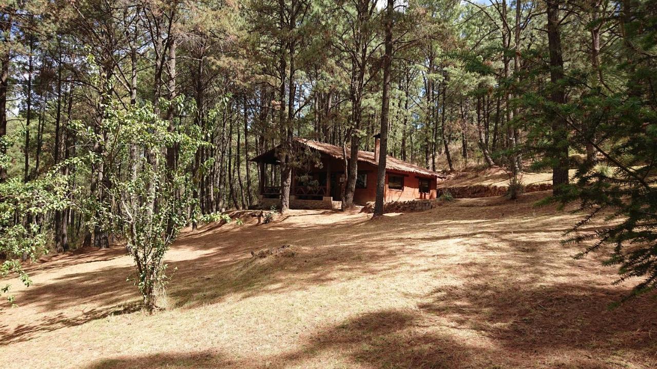 Cabanas Tapalpa Sierra Del Tecuan, Cabana Lince Exterior foto