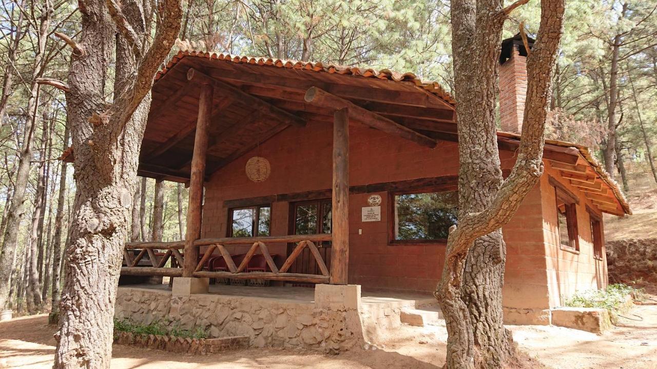 Cabanas Tapalpa Sierra Del Tecuan, Cabana Lince Exterior foto